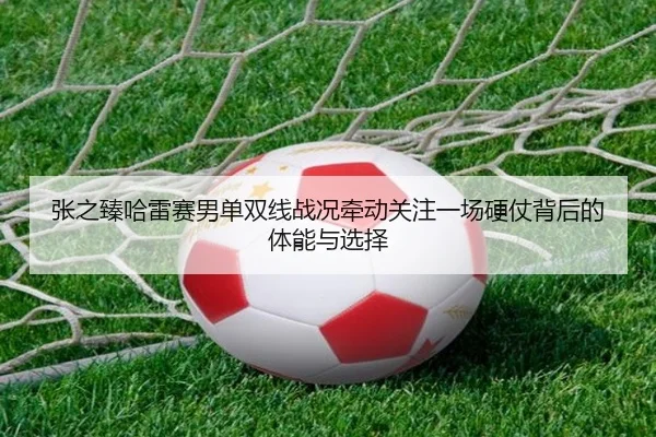张之臻哈雷赛男单双线战况牵动关注一场硬仗背后的体能与选择 - Sina Sports